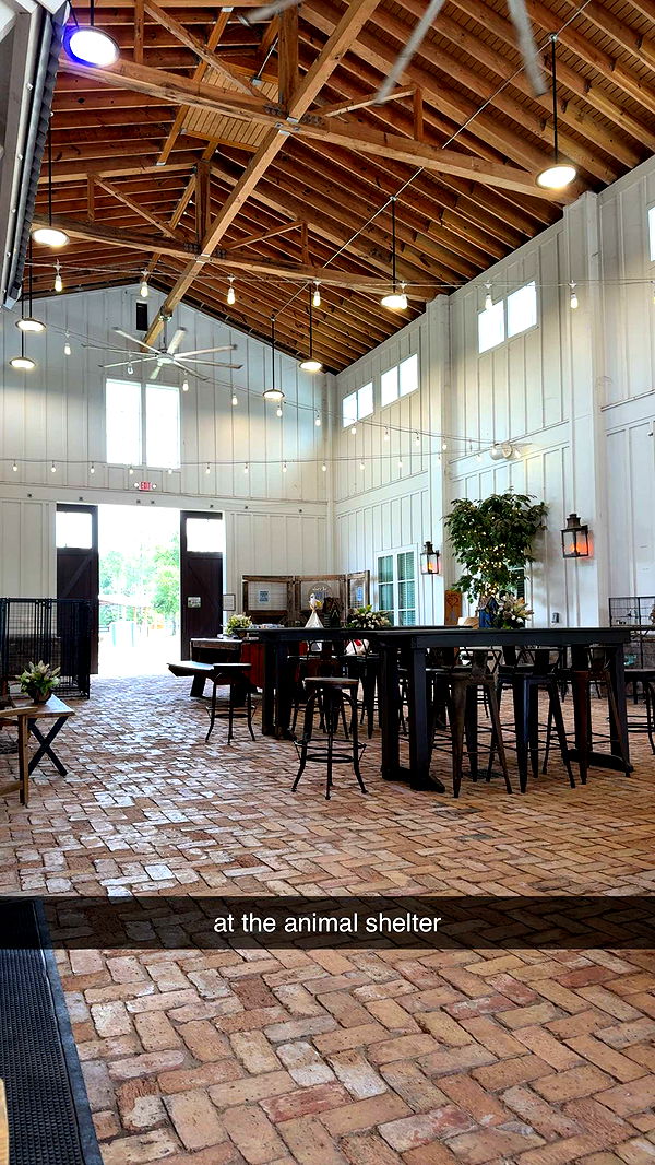 mckinley_1 image ~ Altpins