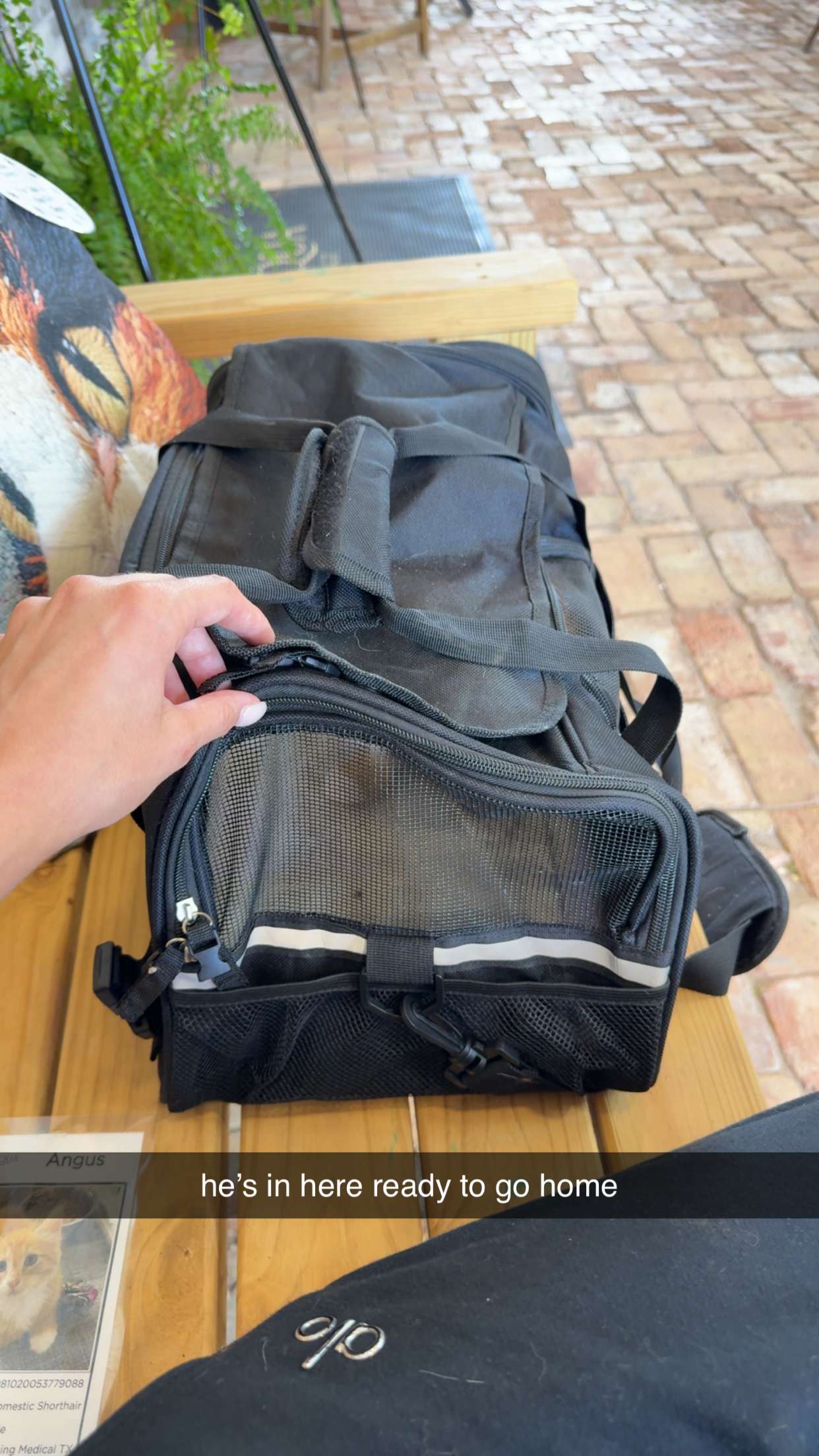 mckinley_1 snapchat image archive image