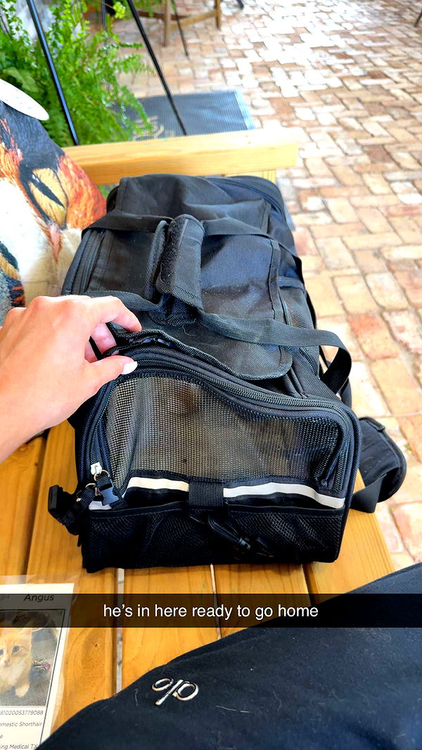 mckinley_1 image ~ Altpins