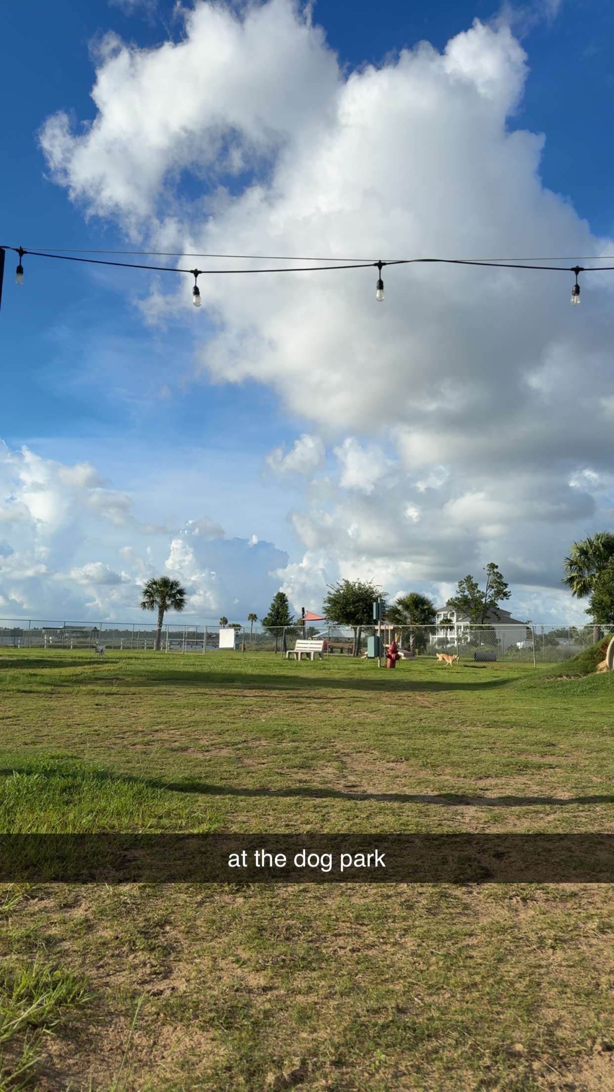 mckinley_1 snapchat image archive image