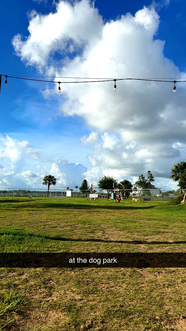 mckinley_1 image ~ Altpins