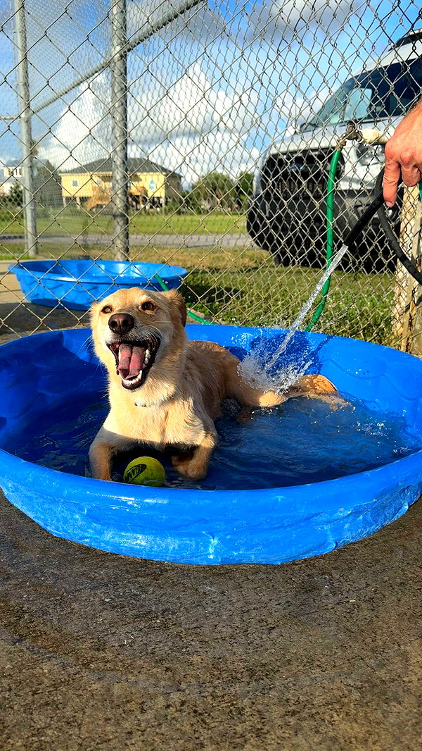 mckinley_1 image ~ Altpins