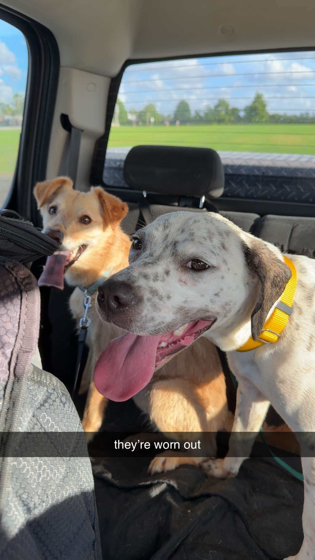 mckinley_1 snapchat image archive image