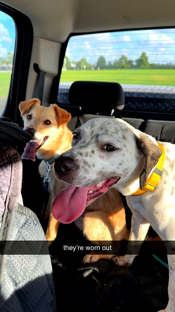 mckinley_1 image ~ Altpins