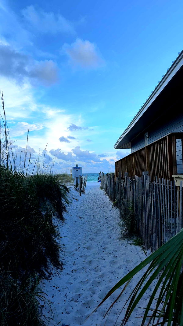 mckinley_1 image ~ Altpins