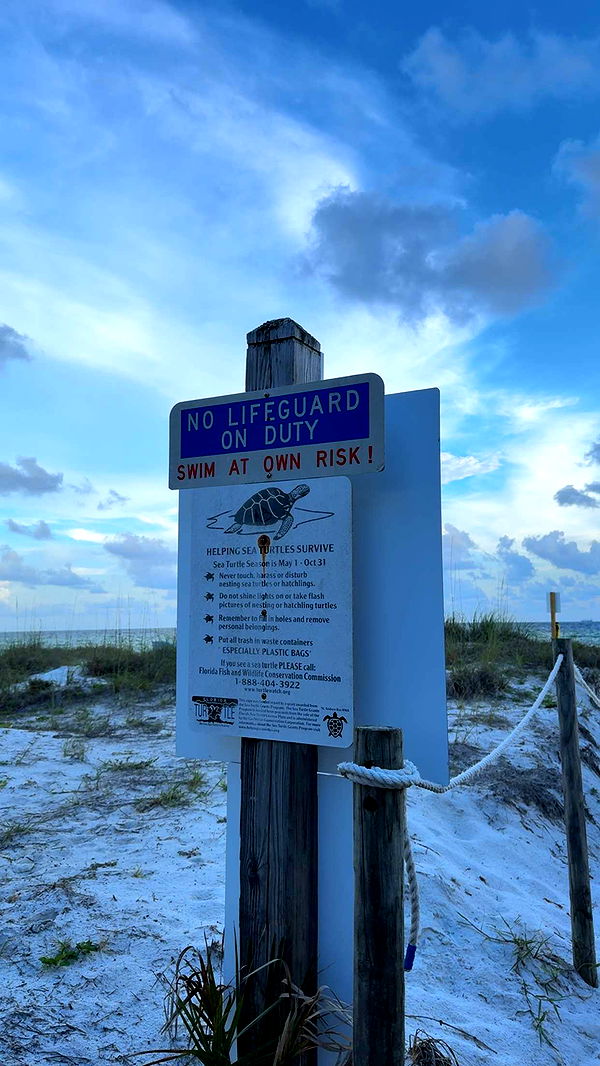 mckinley_1 image ~ Altpins