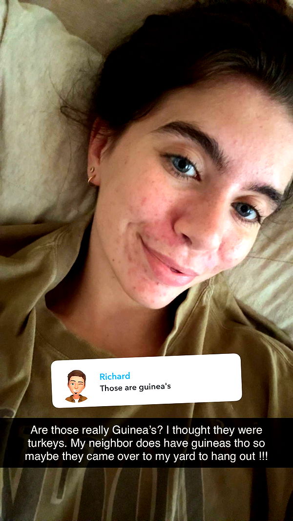 mckinley_1 image ~ Altpins