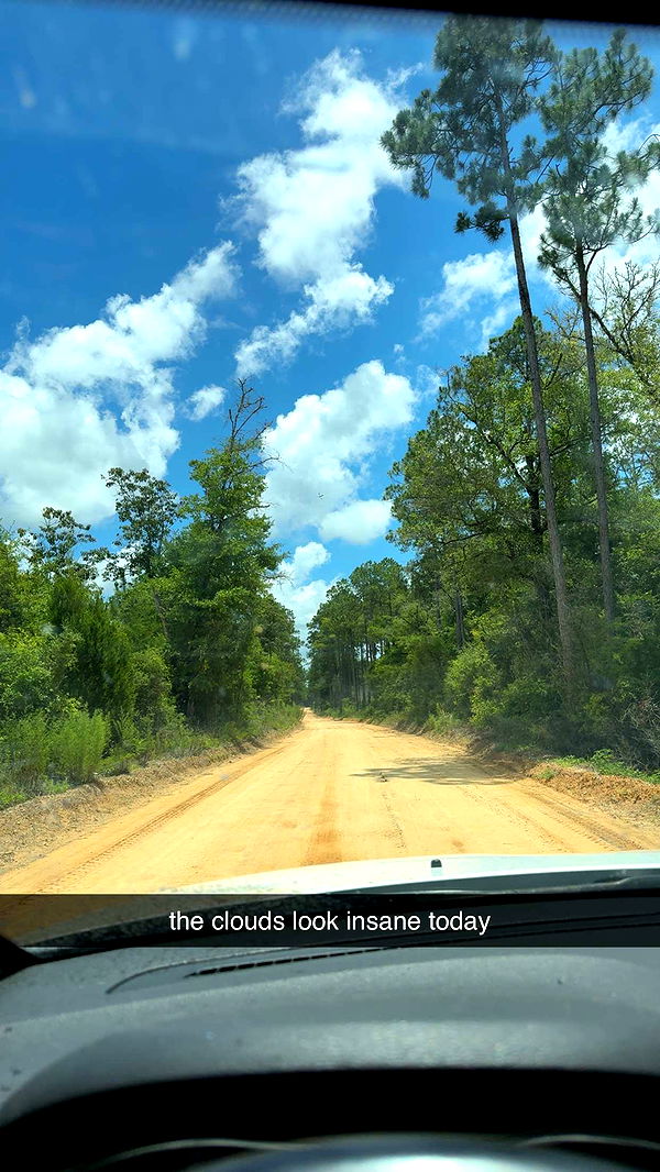 mckinley_1 image ~ Altpins