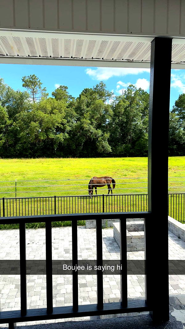 mckinley_1 image ~ Altpins