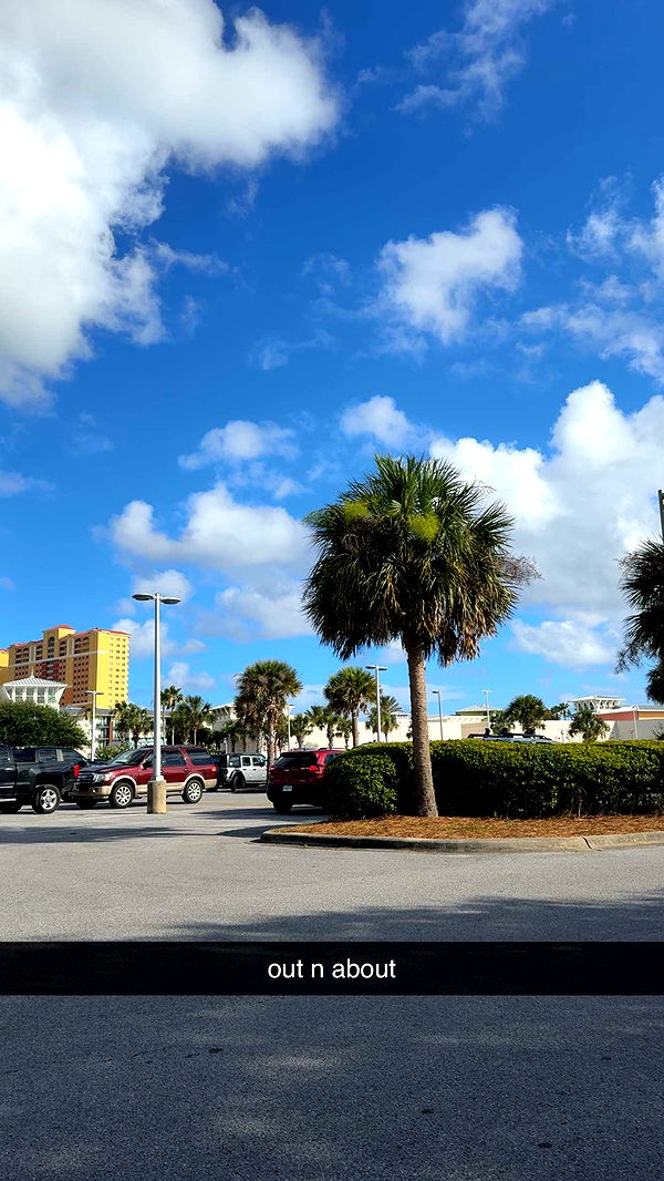 mckinley_1 image ~ Altpins