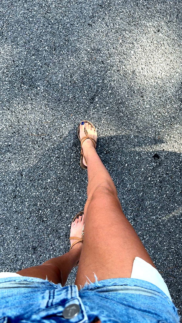 mckinley_1 image ~ Altpins