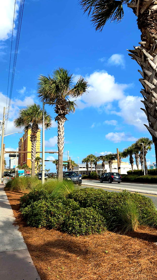 mckinley_1 image ~ Altpins