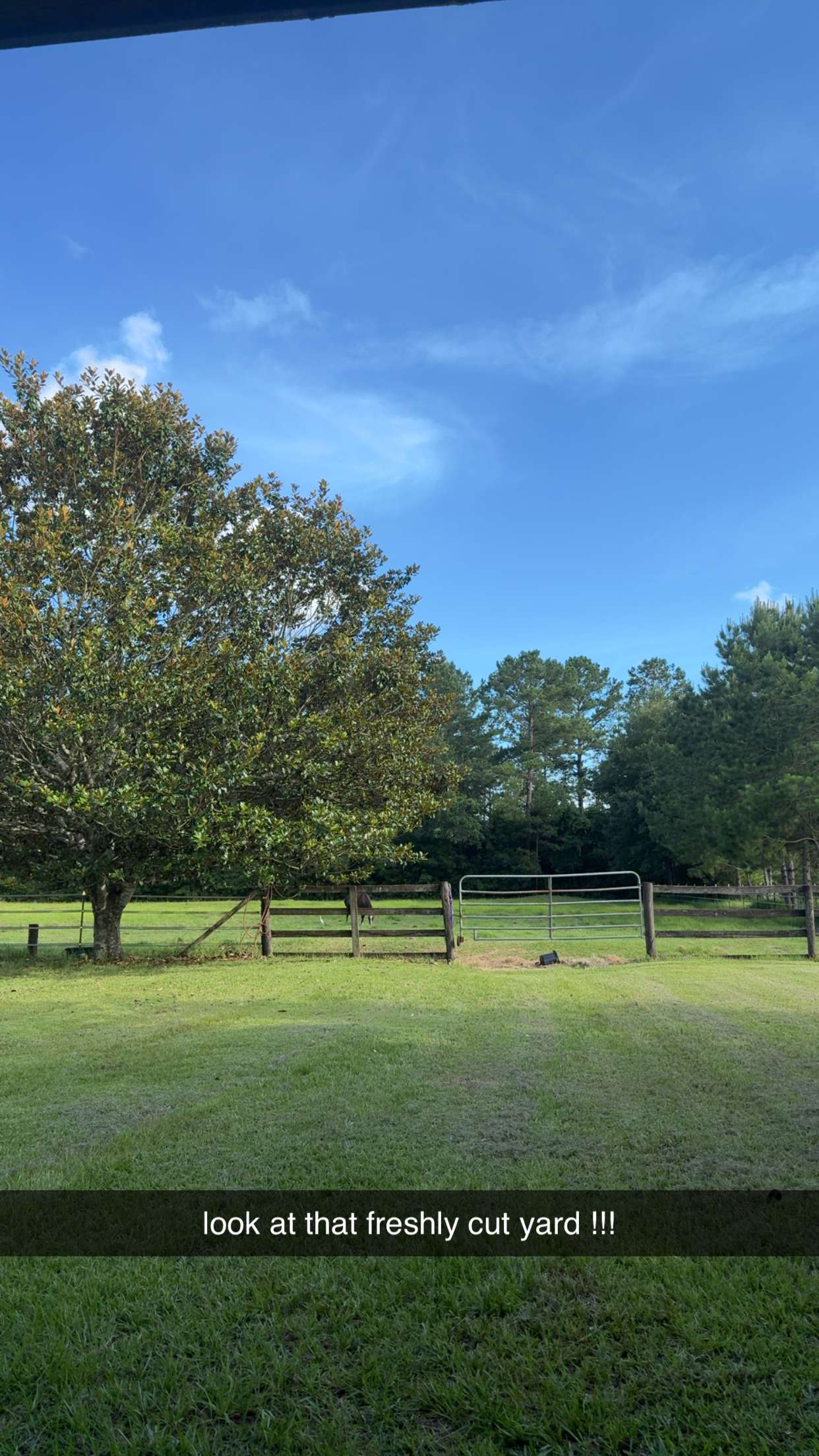 mckinley_1 snapchat image archive image