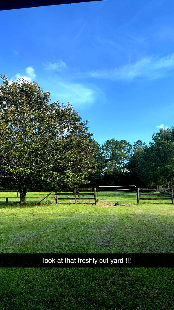 mckinley_1 image ~ Altpins