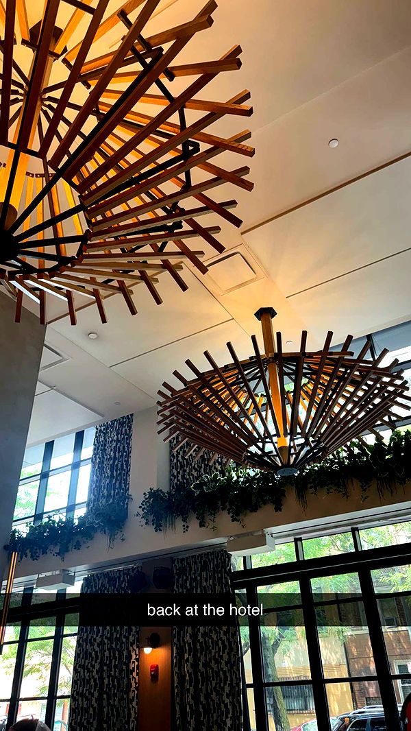 mckinley_1 image ~ Altpins