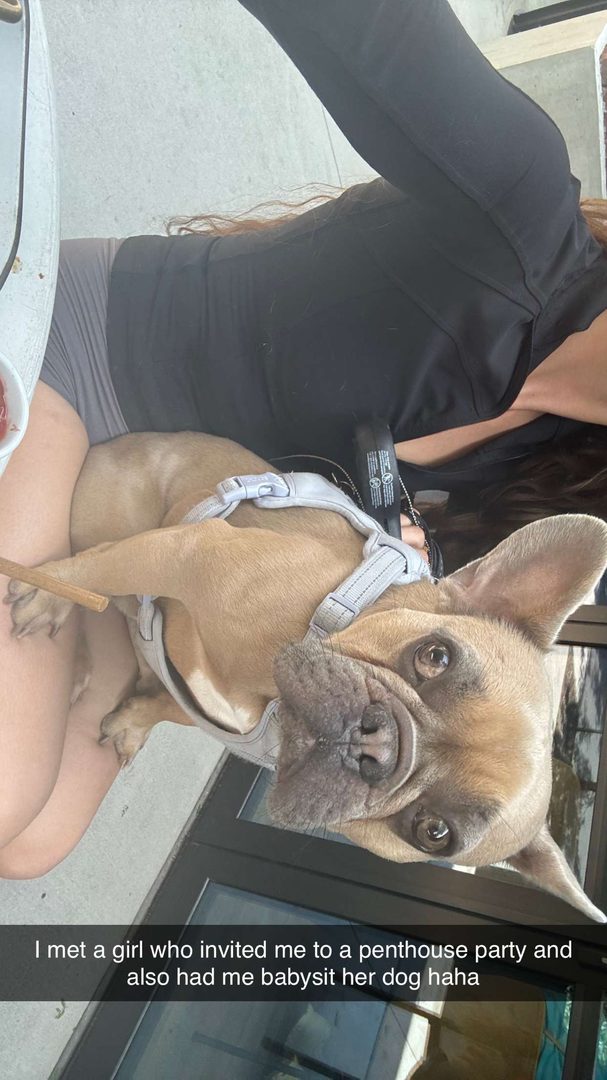 mckinley_1 snapchat image archive image