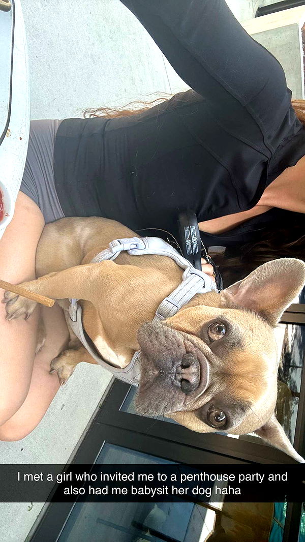 mckinley_1 image ~ Altpins