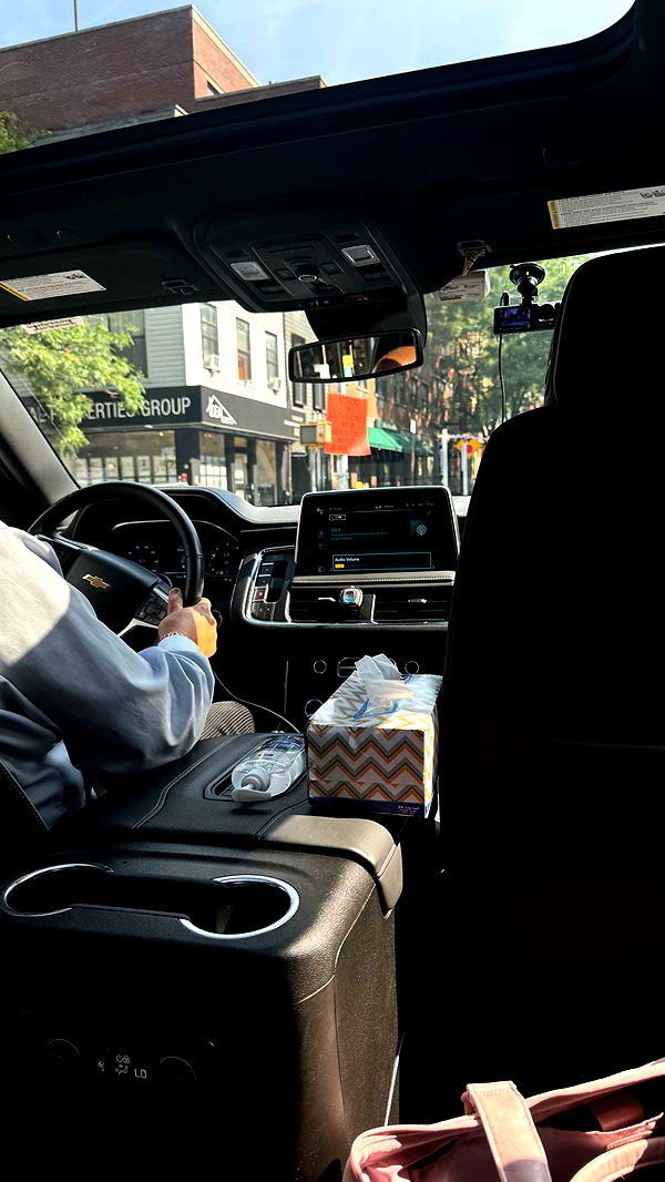 mckinley_1 image ~ Altpins