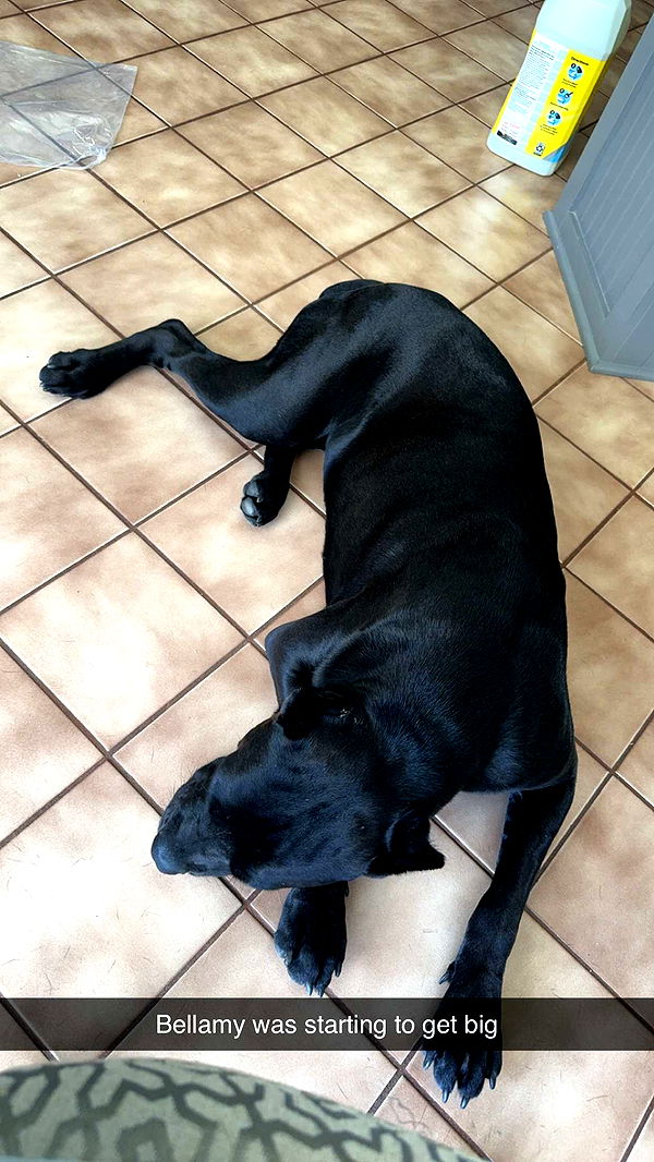 mckinley_1 image ~ Altpins