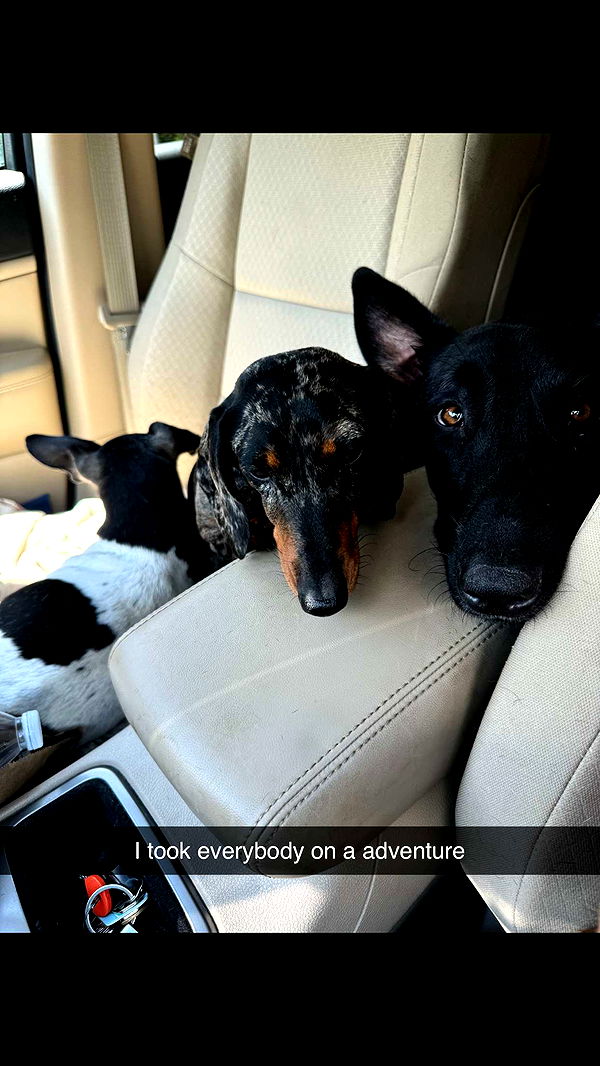 mckinley_1 image ~ Altpins