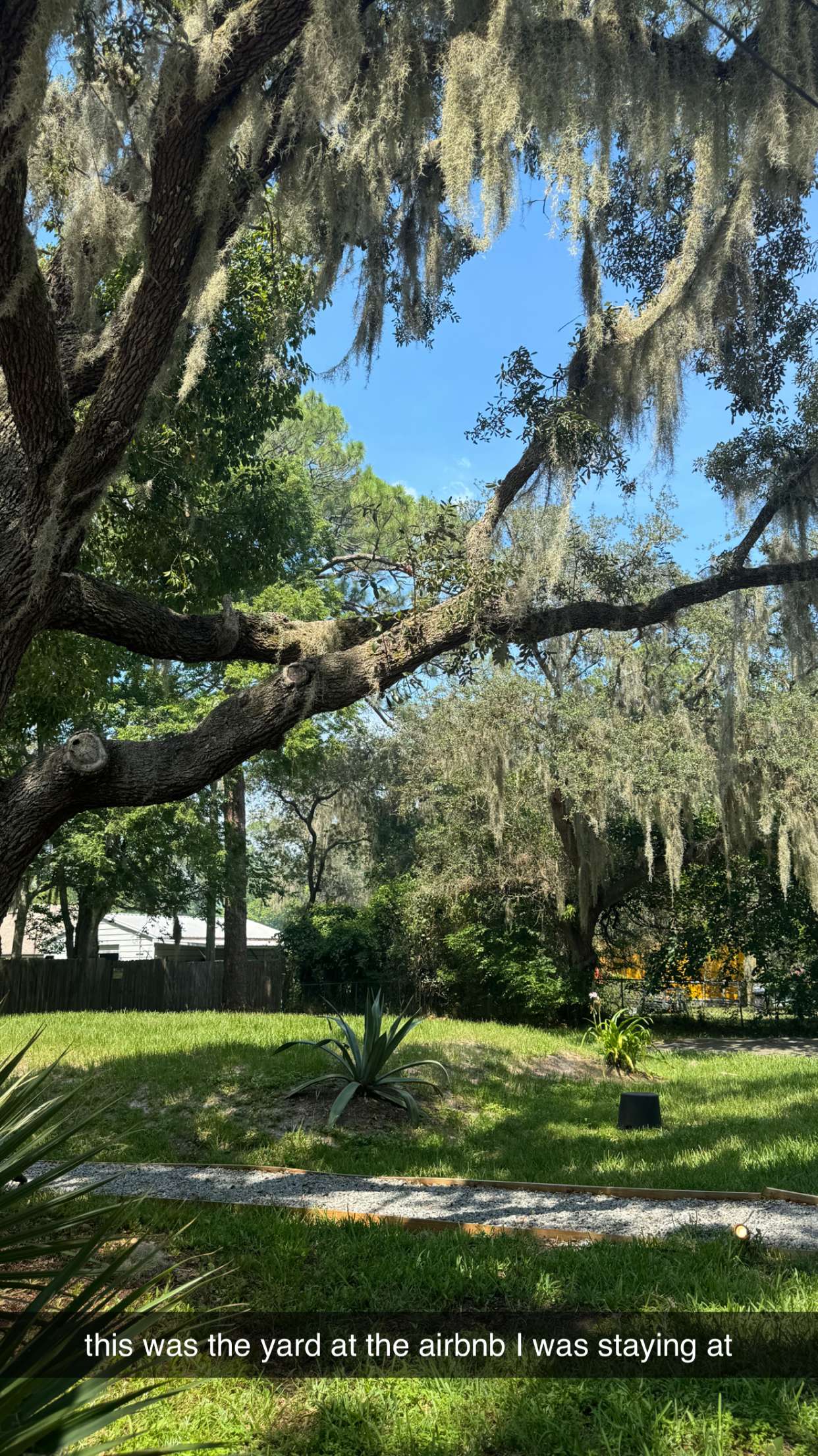 mckinley_1 snapchat image archive image