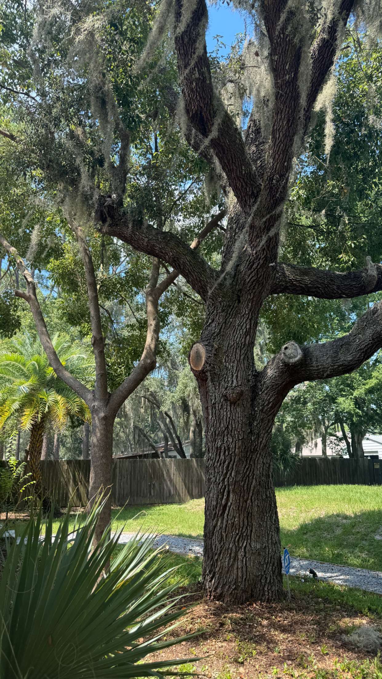 mckinley_1 snapchat image archive image