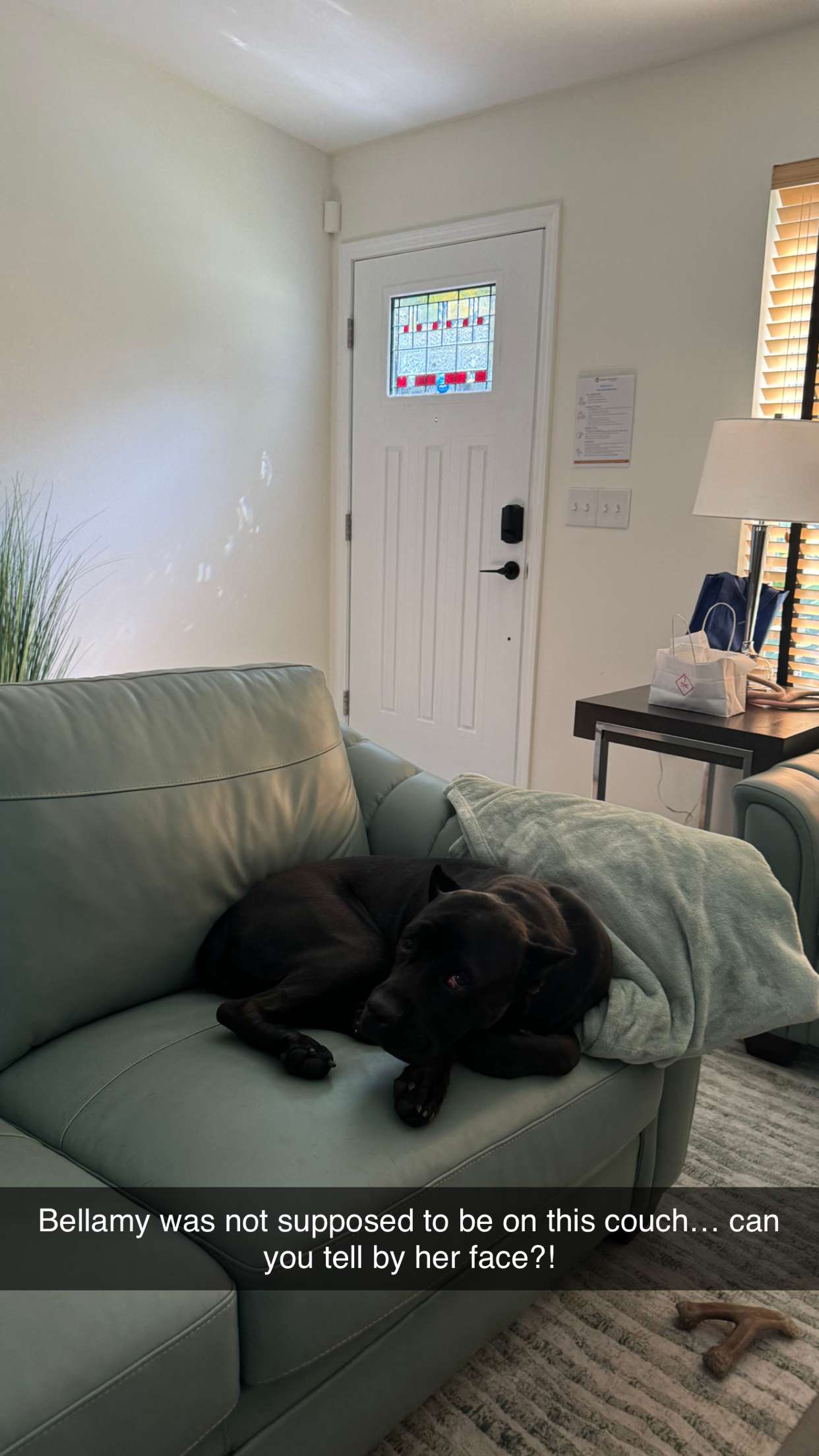 mckinley_1 snapchat image archive image