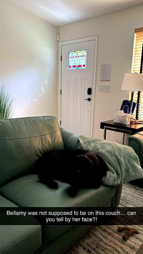 mckinley_1 image ~ Altpins