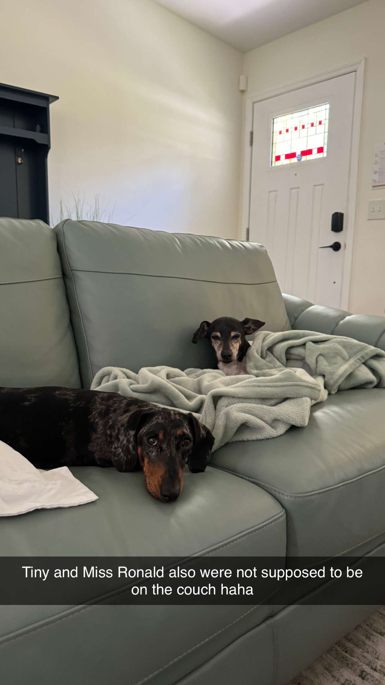 mckinley_1 snapchat image archive image