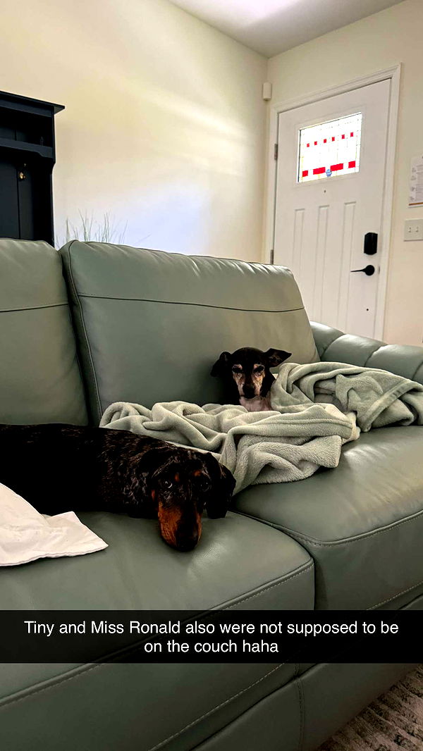 mckinley_1 image ~ Altpins