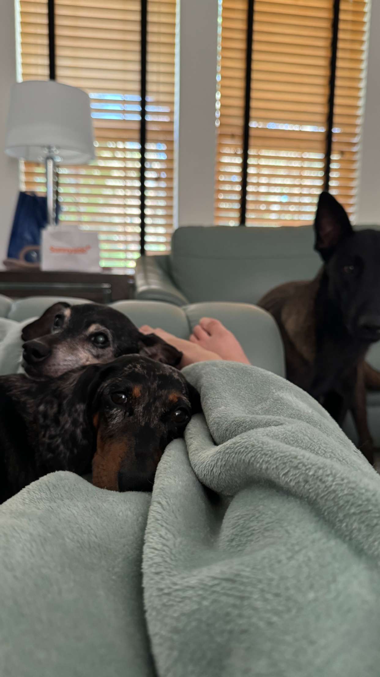 mckinley_1 snapchat image archive image