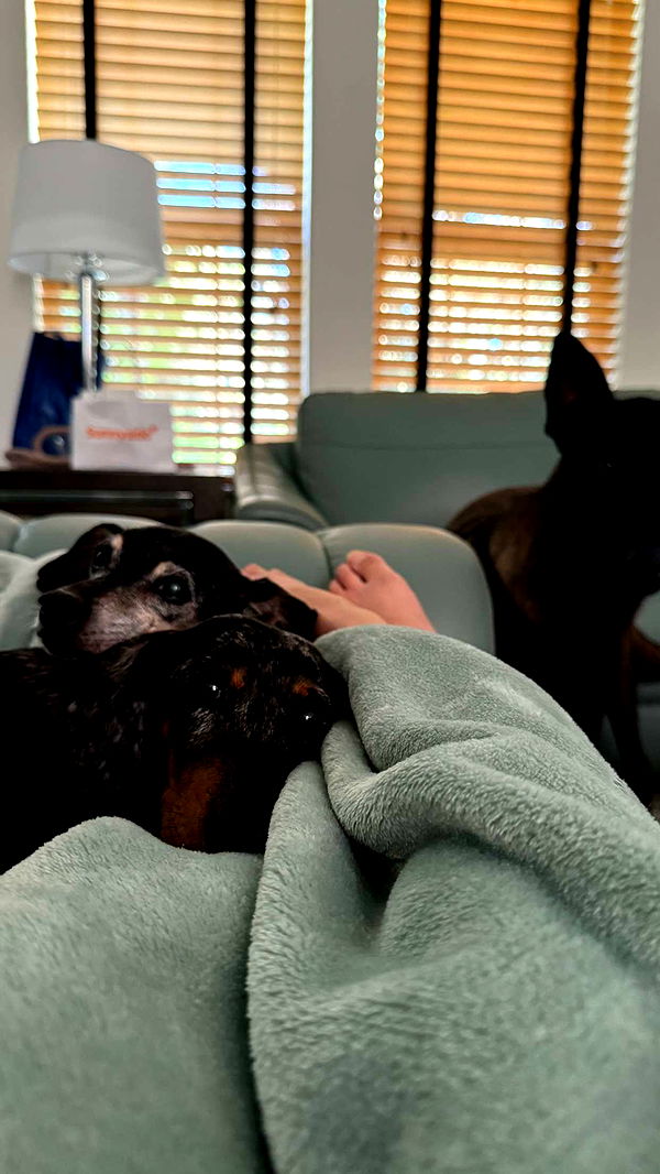 mckinley_1 image ~ Altpins