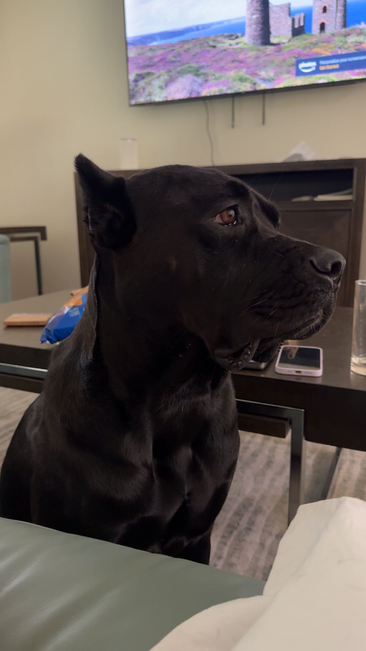 mckinley_1 snapchat image archive image