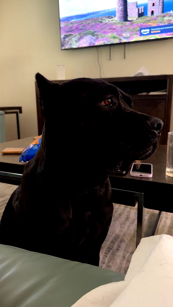 mckinley_1 image ~ Altpins