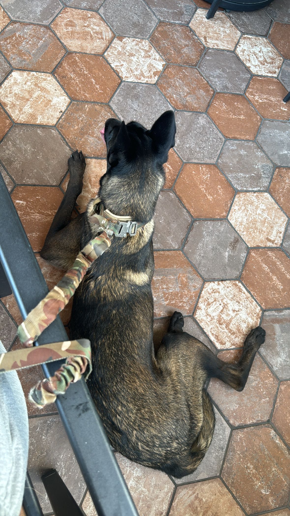 mckinley_1 snapchat image archive image