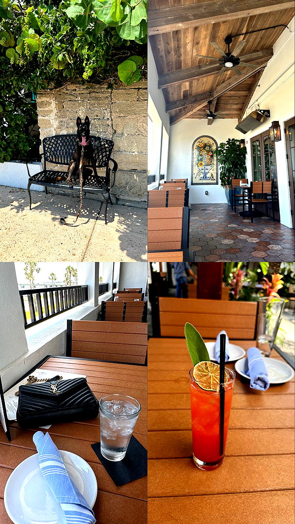 mckinley_1 image ~ Altpins