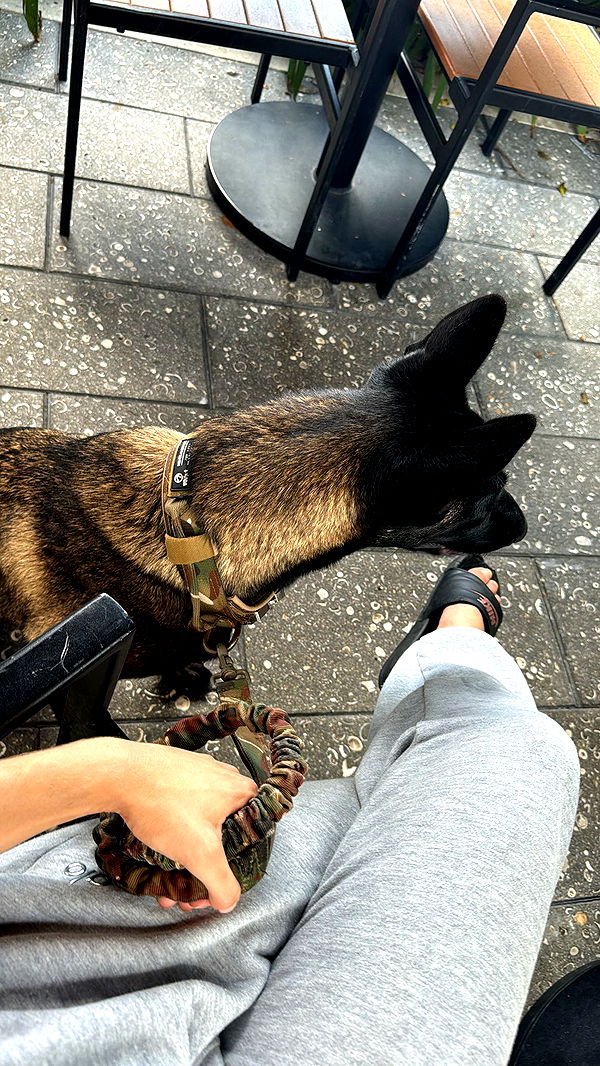 mckinley_1 image ~ Altpins