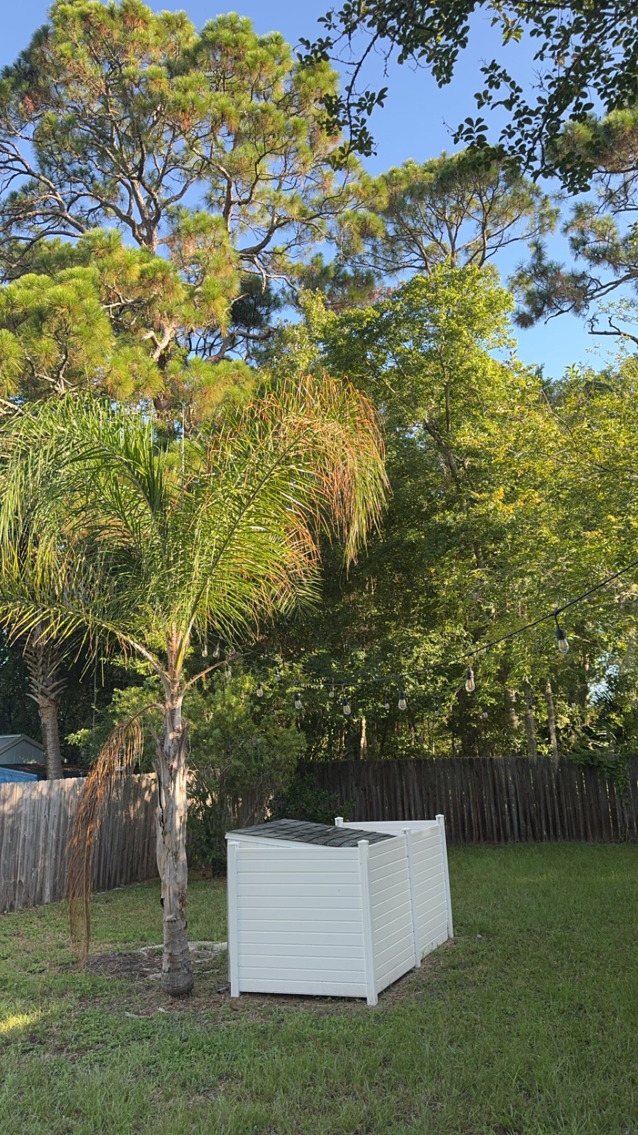 mckinley_1 snapchat image archive image