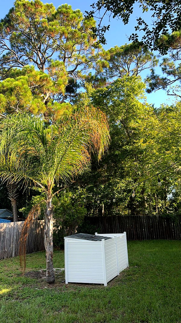 mckinley_1 image ~ Altpins