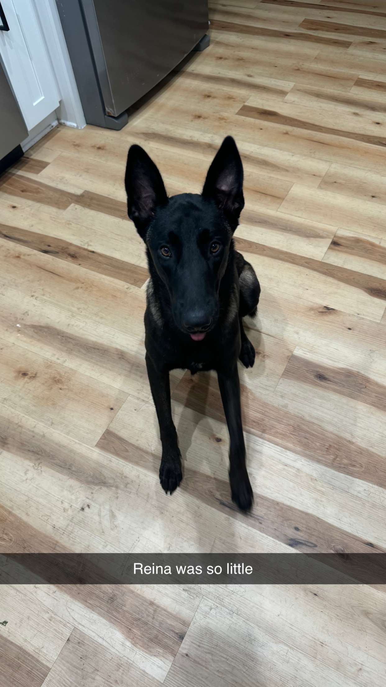 mckinley_1 snapchat image archive image