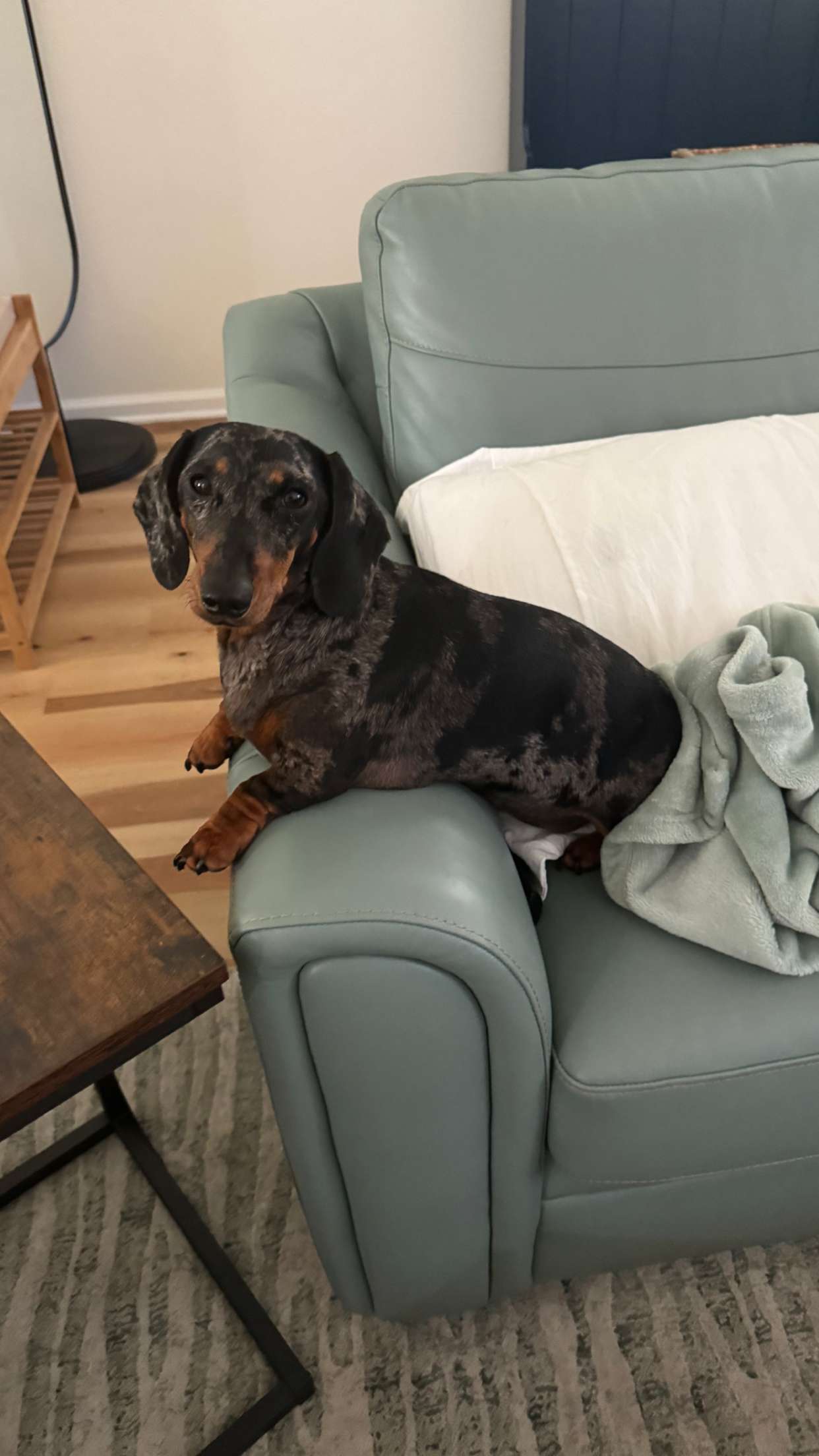 mckinley_1 snapchat image archive image