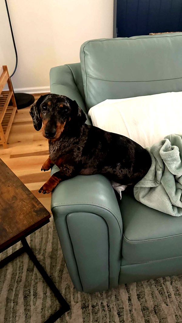 mckinley_1 image ~ Altpins