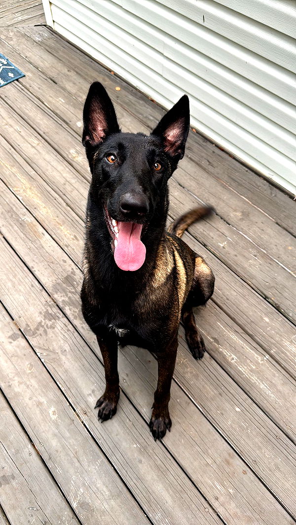 mckinley_1 image ~ Altpins