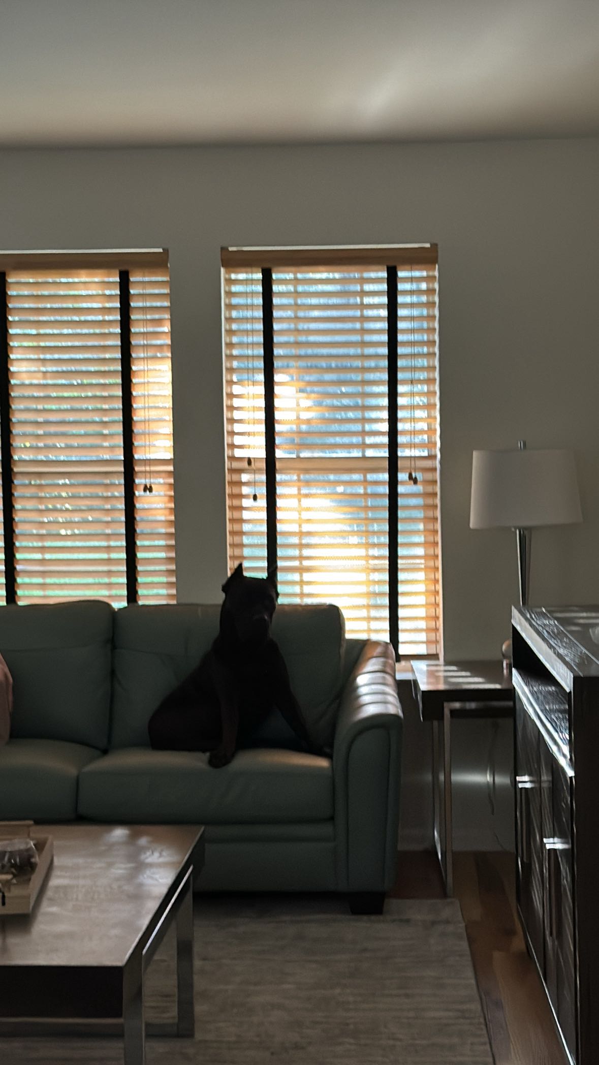 mckinley_1 snapchat image archive image