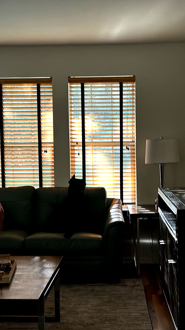 mckinley_1 image ~ Altpins