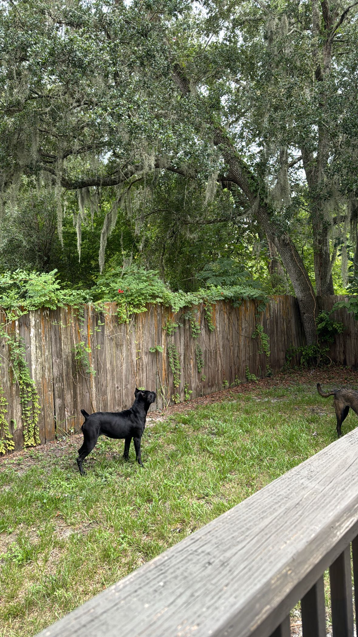 mckinley_1 snapchat image archive image