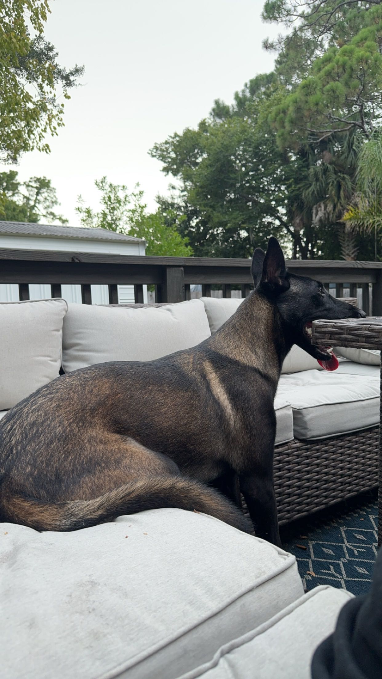 mckinley_1 snapchat image archive image