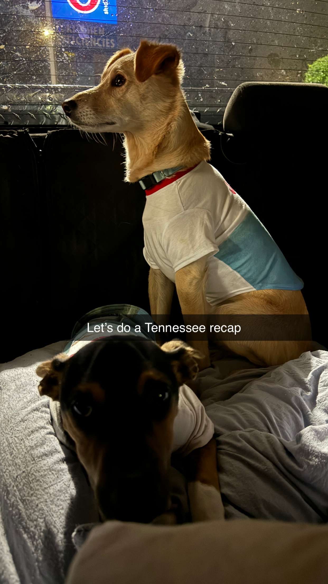 mckinley_1 snapchat image archive image