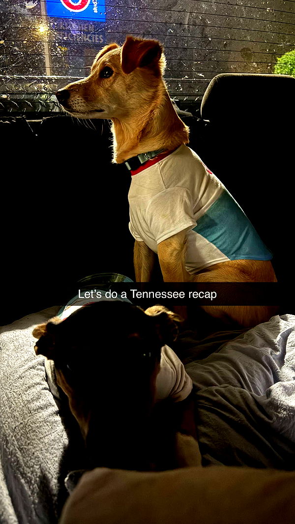 mckinley_1 image ~ Altpins