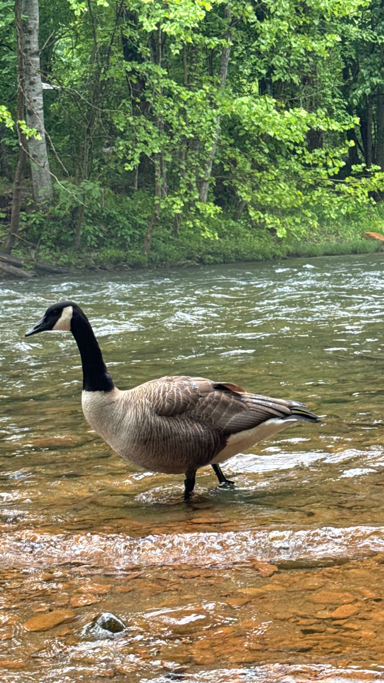 mckinley_1 snapchat image archive image